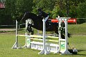 204M1383_Golden Girl_Spring_Ax